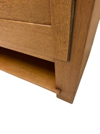 Art Deco Modernist Cabinet by Anton Lucas for N.V. Meubelkunst Leiden, 1920s